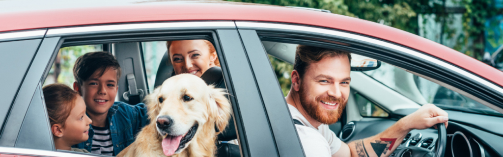 Teen Driving Lessons
